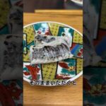 神奈川 小柴 の 釣り物 太刀魚 ！ おろしてみます！ #せり人ムタロー #shorts