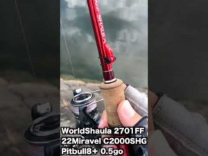 ワールドシャウラ2701FF-2 #釣り #スピニングリール #fishing #bassfishing