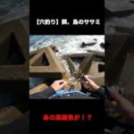 激荒れの穴釣り【餌、鳥のササミ02】#Shorts