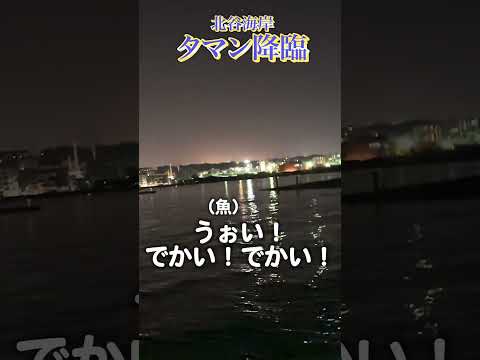 【沖縄釣り】北谷海岸で大型タマン降臨!!!【打ち込み釣り】