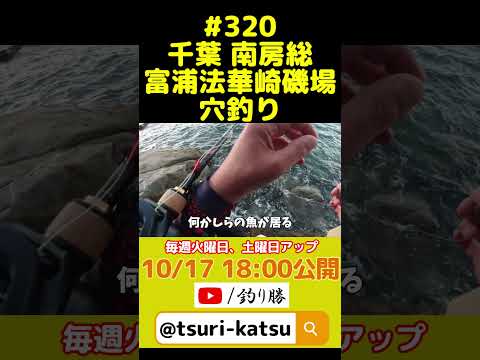 <予告編>EP.320【千葉内房穴釣り】釣れない時期に条件さえ合えば「ボウズ逃れ」 #shorts