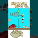 船カワハギの誘い方【ちょい宙】 #釣り #フィッシングマックス #カワハギ #カワハギ釣り
