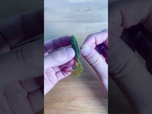 【やった事ある？】ゲーリー4インチグラブのネコリグ(バス釣り)