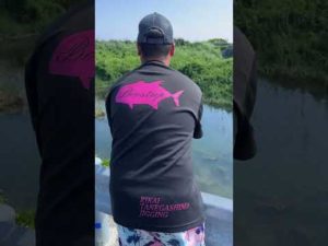 うなぎの引っ掛け釣り