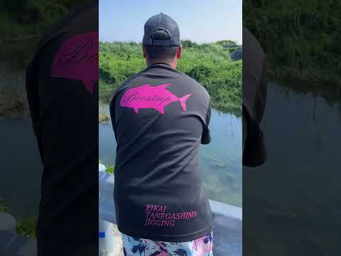 うなぎの引っ掛け釣り