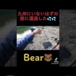 九州に熊出没💦釣りしてたら熊に遭遇した💦#釣り #釣りガール #わいちゃん #わいちゃんわーるど #しょごたん #バス釣り #熊　#bears #bear #fish #fishing