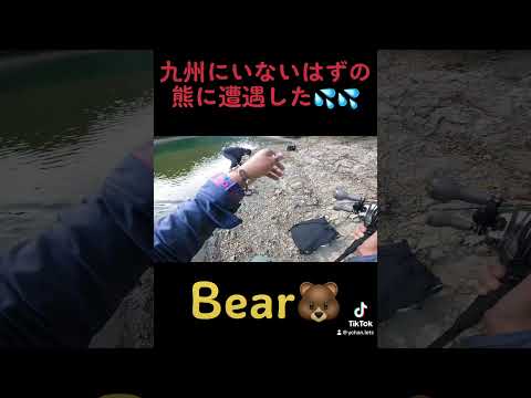 九州に熊出没💦釣りしてたら熊に遭遇した💦#釣り #釣りガール #わいちゃん #わいちゃんわーるど #しょごたん #バス釣り #熊　#bears #bear #fish #fishing
