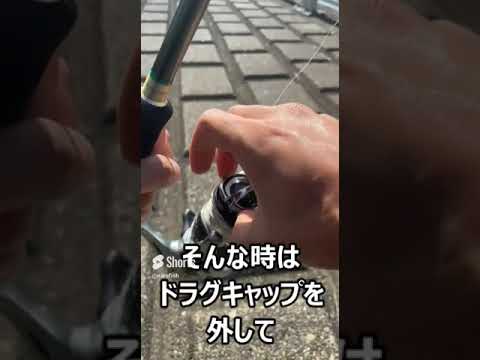 釣り人ほぼ全員が経験するあの現象を解消する方法