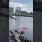 よくあるやつ？ちょっと恥ずかしい。荒川釣り中に