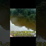 バス釣り ４ピースロッドのデメリット