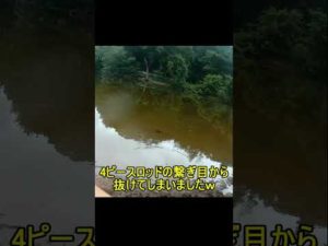 バス釣り ４ピースロッドのデメリット