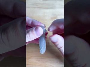 【知ってるかい？】スキップドッグのアゴコイルの入れ方(バス釣り)