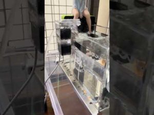 ワカサギライブウェル循環システム #桧原湖ワカサギ釣り #クリーク #ワカサギ釣り