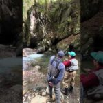 フライスクール・巻きの釣り方の巻２「ロールメンディング」特訓　#flyfishing #フライフィッシング #shorts #フライタイイング #rainbowtrout  #釣り