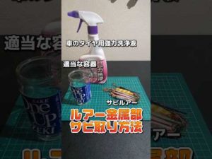 【釣りハック】ルアーの簡単なサビ取り方法 ※自己責任でお願いします #釣り#ルアー#ライフハック