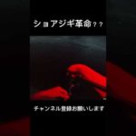 ショアジギの常識破り？ #釣り #ショアジギング #青物