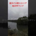 デカバス実績ポイント！！大人気の淀川バス釣りエリア、佐太中ワンドです！#shorts #fishing#バス釣り #淀川 #bassfishing