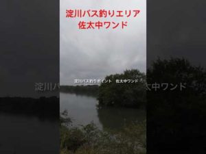 デカバス実績ポイント！！大人気の淀川バス釣りエリア、佐太中ワンドです！#shorts #fishing#バス釣り #淀川 #bassfishing