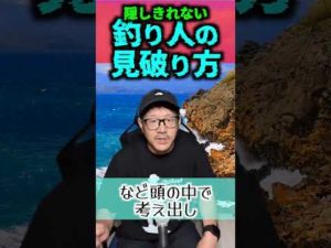 釣り人の見破り方3選 #釣り # #ショアジギング #daiwa #アオリイカ #fishing #3選 #3選シリーズ #アジング #あるある #キャンプ #穴釣り #仕掛け #ルアー #青物