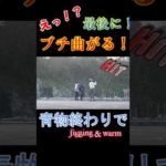 【海釣り】青物が終わってから、ブチ曲がった❗#岩手 #海釣り #青物 #ワーム #outdoors #釣り #海 #ロックフィッシュ #ショアジギング #ジギング #ジグヘッド #ワーム #根魚