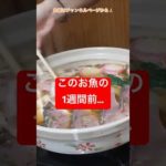 1週間前は… #釣り #ジギング #船釣り #ルアー #ルアーフィッシング #料理