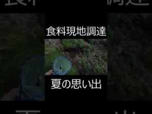 渓流釣りで自給自足 #shorts