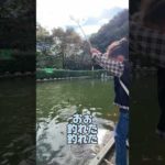 初めてのコイ釣り