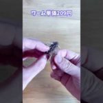 【遠距離番長】コイケシュリンプのフリーリグ(バス釣り)