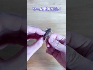 【遠距離番長】コイケシュリンプのフリーリグ(バス釣り)