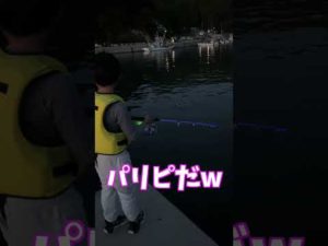 パリピ釣り人発見w #shorts #釣り #パリピ #光
