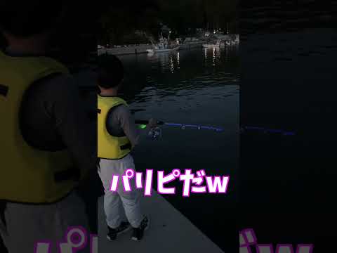 パリピ釣り人発見w #shorts #釣り #パリピ #光