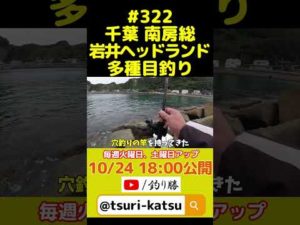 ＜予告編＞EP.322【千葉内房多種目釣り】南房総岩井のヘッドランドで魚影の濃さを痛感した #shorts