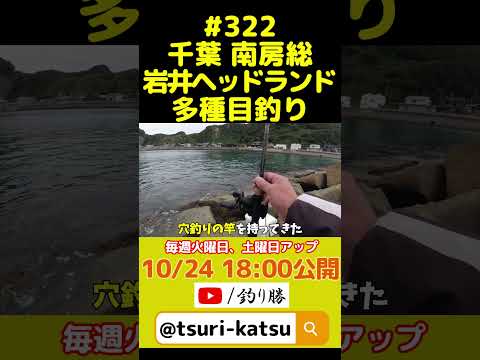 ＜予告編＞EP.322【千葉内房多種目釣り】南房総岩井のヘッドランドで魚影の濃さを痛感した #shorts