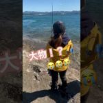 大物バラした初めてのフカセ釣り#shorts #ショート #short