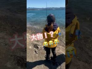 大物バラした初めてのフカセ釣り#shorts #ショート #short