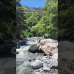 #渓流ニキことり#渓流釣り #渓流ルアー #渓流女子#イワナ