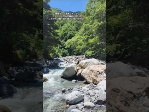 #渓流ニキことり#渓流釣り #渓流ルアー #渓流女子#イワナ