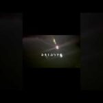 今日も今日とてシーバス釣り　久しぶりのシーバス釣り