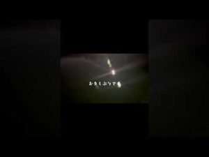 今日も今日とてシーバス釣り　久しぶりのシーバス釣り