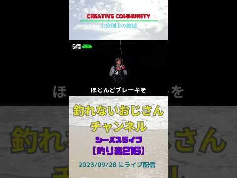シーバスライブ【釣り楽216】#shorts #imz #ベイトリール