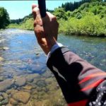 鮎釣り 夏の思い出   ヘチのきわっきわ柳の下 良型 米代川支流令和５年8月上旬  #鮎釣り