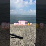 釣り！今回の結果は、どうなった！？？#shorts #釣り #あるある