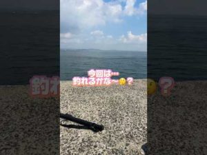 釣り！今回の結果は、どうなった！？？#shorts #釣り #あるある