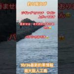 南大阪人工島最新釣果情報　#ショアジギング  #釣り  #青物  #釣り兎えび  #貝塚人工島  #釣果速報