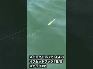 スイングインパクトファット4.8の泳ぎ【バス釣り】