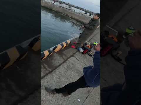 人生初ヒットの小林さん　北海道の鮭釣りVLOG 2023年9月26日午前5時21分ヒット #北海道の釣り #鮭釣り #アキアジ #fishing