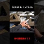 激荒れの穴釣り【餌、サンマテイル】#Shorts