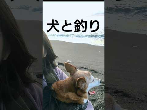 長女と犬と釣り#shorts