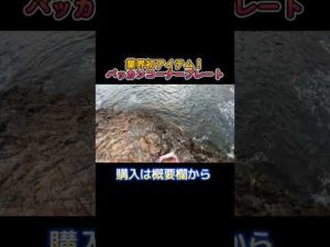 磯フカセ釣りの釣果を上げるアイテム登場！ #釣り #磯遊 #fishing #グレ釣り #遠投的技釣師団 #磯#shortvideo #フカセ釣り #shorts #バッカンコーナープレート