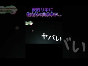【夜釣り】誰も想像しなかったことが起こる...。 #shorts